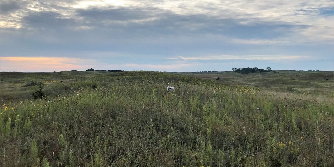 Bucket List Hunts In Nebraska