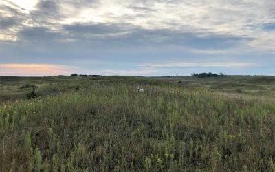 Bucket List Hunts In Nebraska