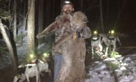 Colorado Man Sentenced for Illegal Hunting of Mountain Lion