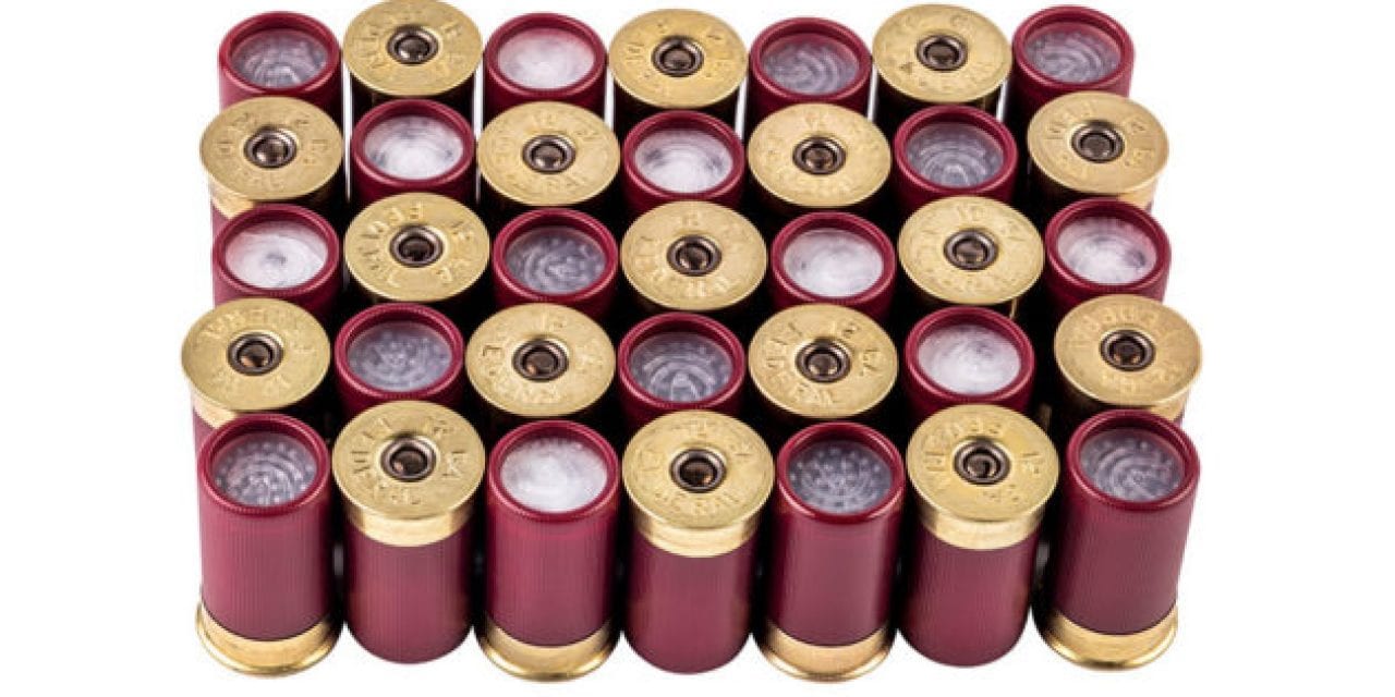 Cool Things in Small Packages: New Federal Shorty Shotshells