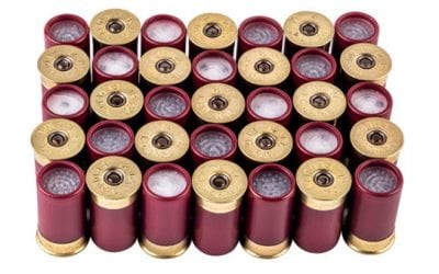 Cool Things in Small Packages: New Federal Shorty Shotshells