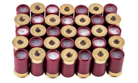 Cool Things in Small Packages: New Federal Shorty Shotshells