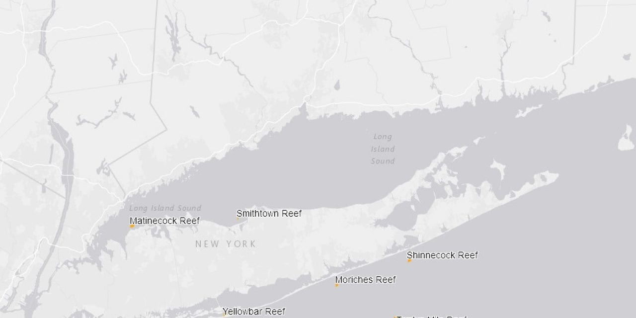 Digital Mapper Of New York Artificial Reef