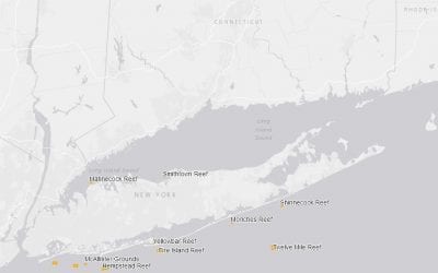 Digital Mapper Of New York Artificial Reef