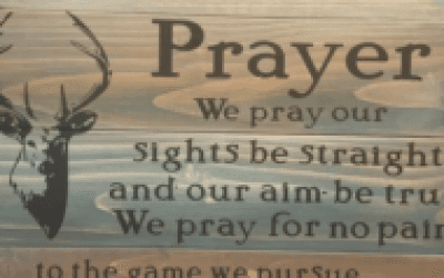 Every Deer Deserves Our Respect