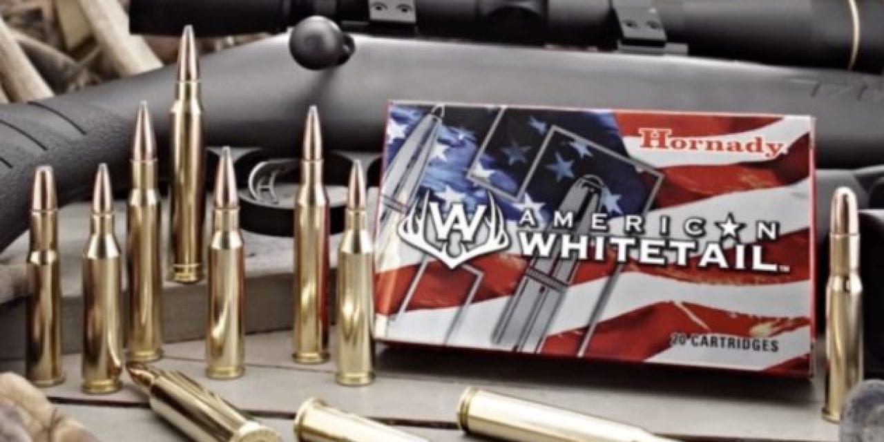 Everything You Need to Know About Hornady American Whitetail Ammo