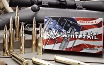 Everything You Need to Know About Hornady American Whitetail Ammo