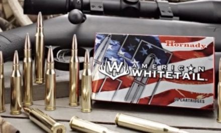 Everything You Need to Know About Hornady American Whitetail Ammo