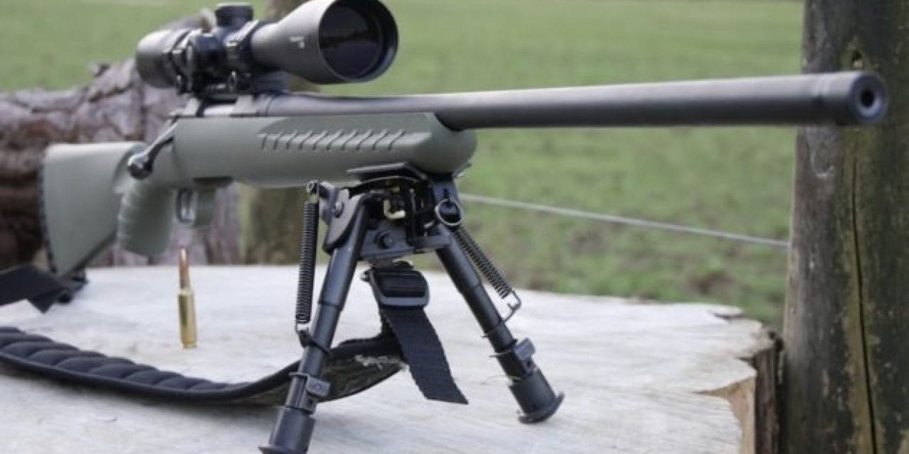 Everything You Need to Know About the Ruger American Predator Rifle