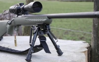 Everything You Need to Know About the Ruger American Predator Rifle