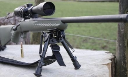 Everything You Need to Know About the Ruger American Predator Rifle