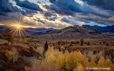 Fall Colors 2018 Assignment Winner Zeralda La Grange