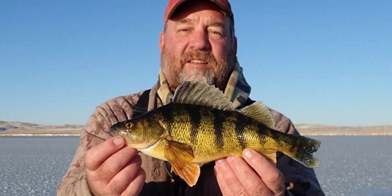 First Day Fish