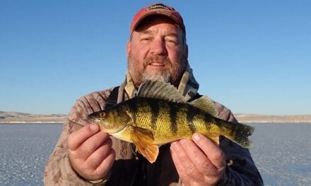 First Day Fish