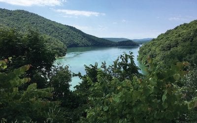 Gerald Almy: Top 10 baits for spring