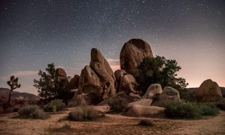 Government Shutdown Results In Lasting Damage To National Parks