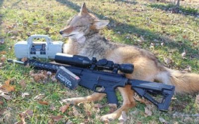 Gun Gear Review: ATN X-Sight 4K Pro Scope and Palmetto State Armory 6.5 Creedmoor