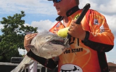 King Kat Tournament Trail Kicks off on Santee Cooper