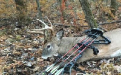 Low-Profile Tactics for Public-Land Hunting