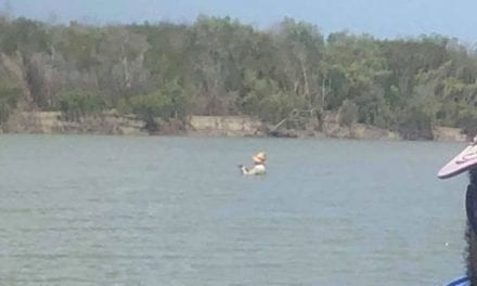 Man Spotted Fishing in Croc-Infested Waters Needs to Reassess Things