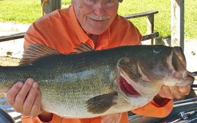 MyFWC – Shiners and Structure For Bass