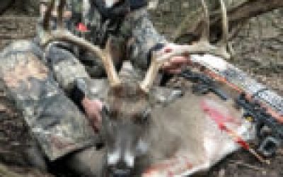 Nugent: Happy Nuge Year 2019 All!