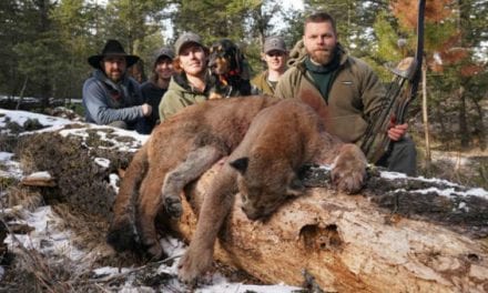 Oregon Lawmakers Advance Bills Allowing Predator Hunting With Dogs
