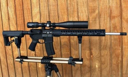 Palmetto State Armory 224 Valkyrie and Hawke Endurance Scope Review