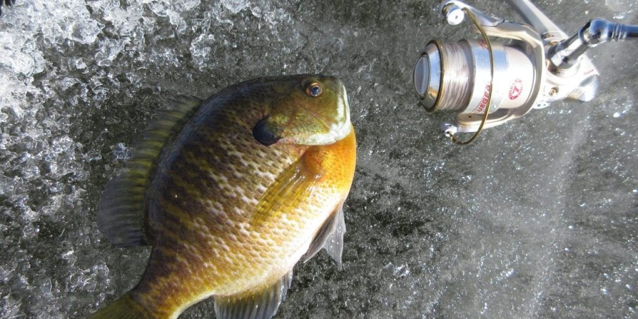 Panfish System on Ice