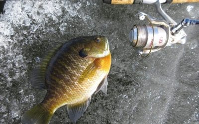 Panfish System on Ice