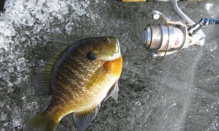 Panfish System on Ice