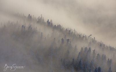 Photo Of The Day By Gary Sherman