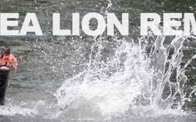 Questions & Answers on the Endangered Salmon Predation Prevention Act