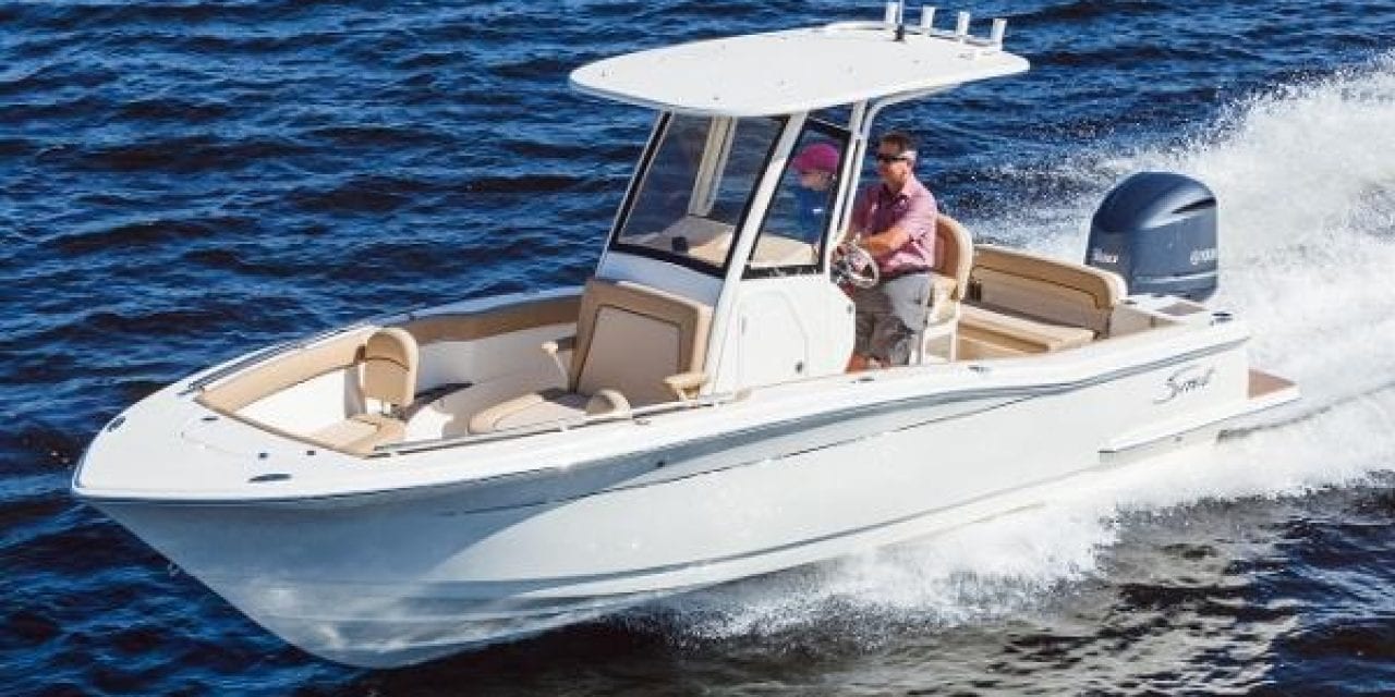 Scout Boats: 7 Saltwater Fish that are Great for Winter Anglers