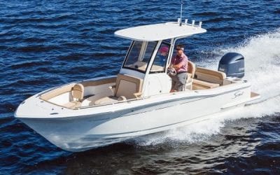 Scout Boats: 7 Saltwater Fish that are Great for Winter Anglers