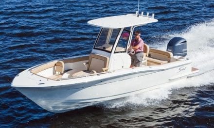 Scout Boats: 7 Saltwater Fish that are Great for Winter Anglers