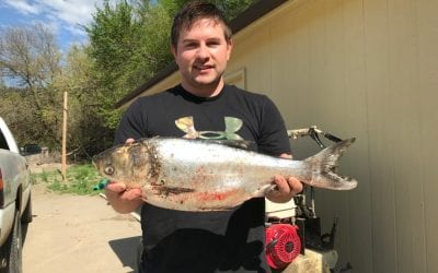 State Record Summary, 2018