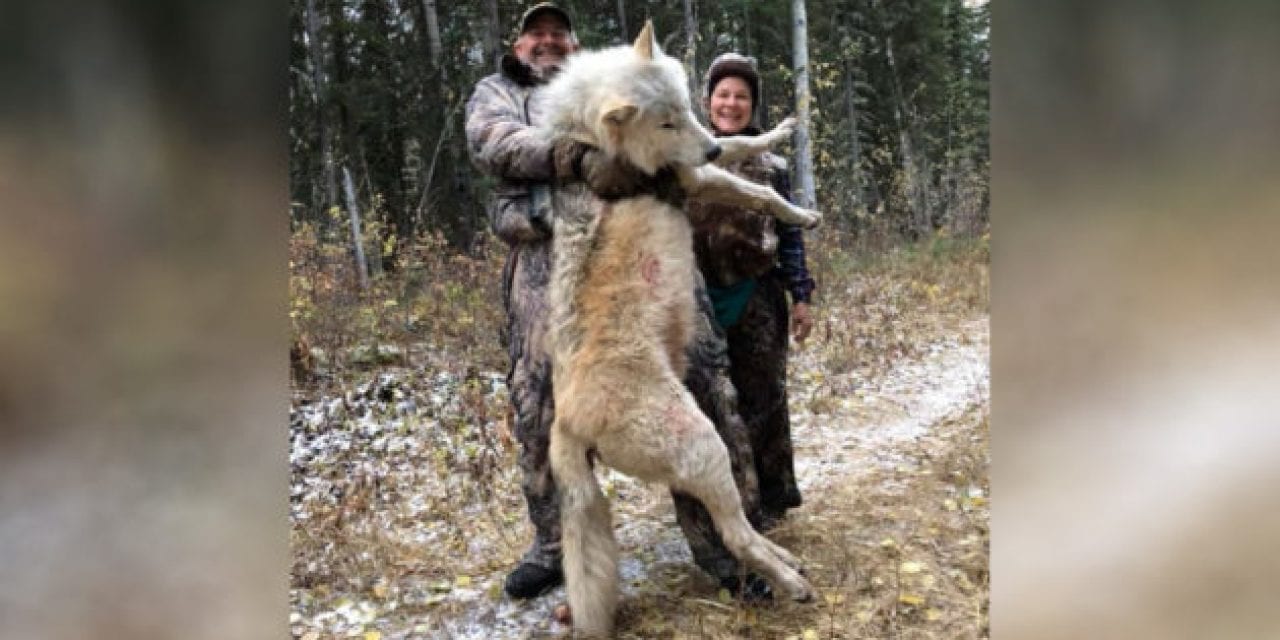 Stupid Things Anti-Hunters and Animal Rights Zealots Say, Part I