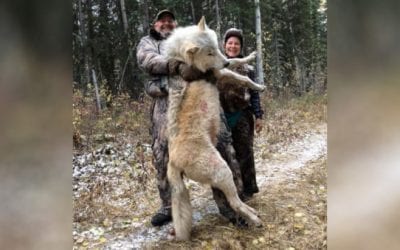 Stupid Things Anti-Hunters and Animal Rights Zealots Say, Part I