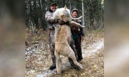 Stupid Things Anti-Hunters and Animal Rights Zealots Say, Part I