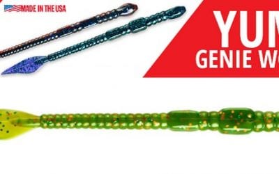 Subtle Approach for Winter Bass