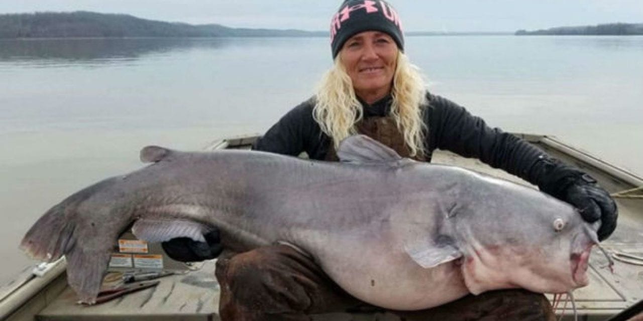 Tennessee Woman Catches Monster Catfish