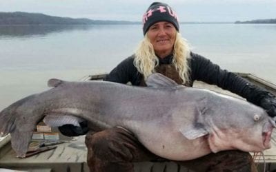 Tennessee Woman Catches Monster Catfish