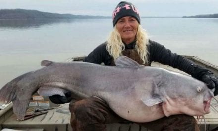 Tennessee Woman Catches Monster Catfish