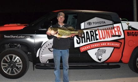 Texas Angler Reels in 14.57-Pound ShareLunker From Marine Creek Lake