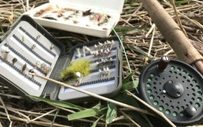 The 10 Trout Flies Every Angler Needs