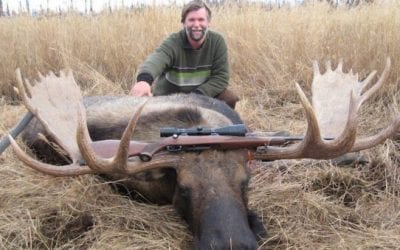 The 5 Best Moose Hunting Opportunities an American Could Hope For