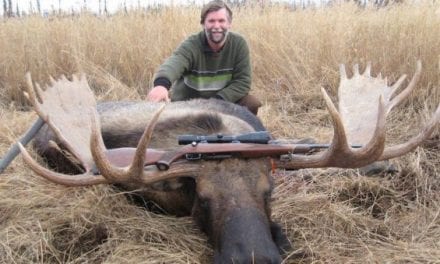 The 5 Best Moose Hunting Opportunities an American Could Hope For