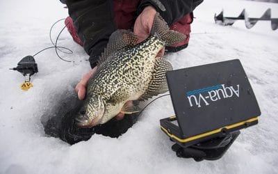 The Evolving Game of Sight-Fishing on Ice