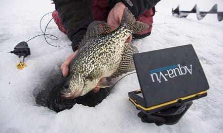 The Evolving Game of Sight-Fishing on Ice